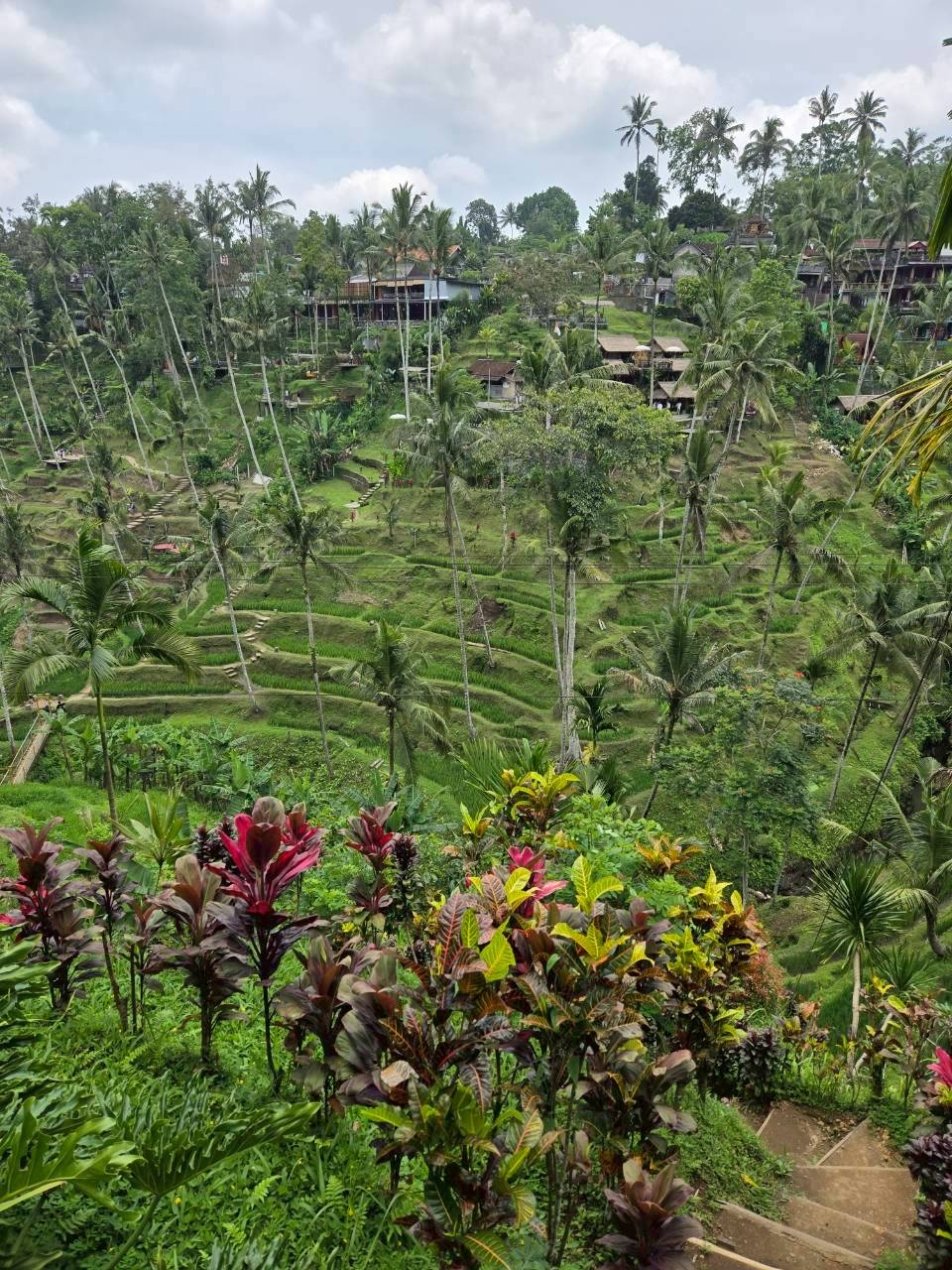 LINE_ALBUM_2025.10.23-27 バリ島社員旅行_251031_49.jpg