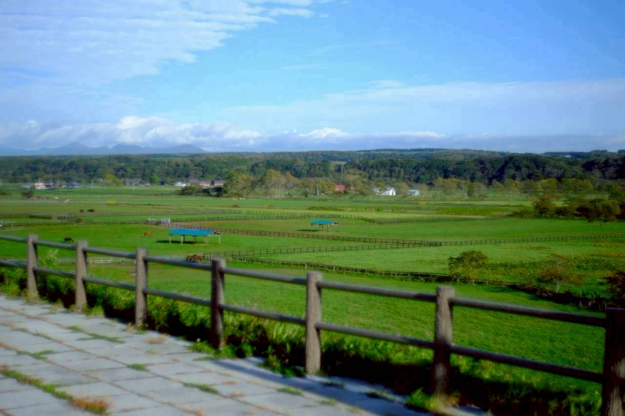 LINE_ALBUM_2025.10.13-15 北海道社員旅行_251031_41.jpg