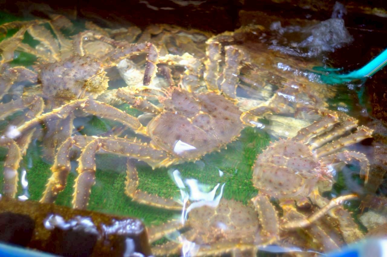 LINE_ALBUM_2025.10.13-15 北海道社員旅行_251031_14.jpg