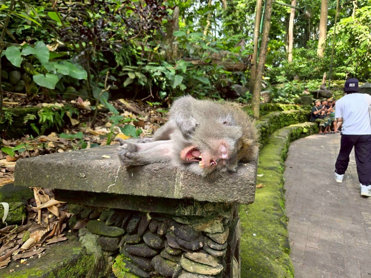 LINE_ALBUM_2025.10.23-27 バリ島社員旅行_251031_67.jpg