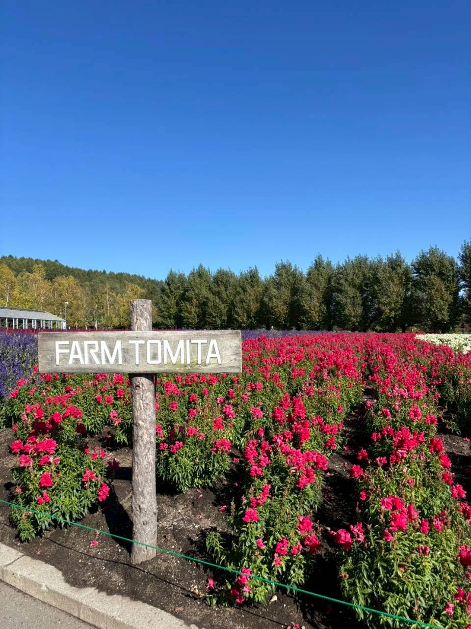 LINE_ALBUM_2025.10.13-15 北海道社員旅行_251031_2.jpg