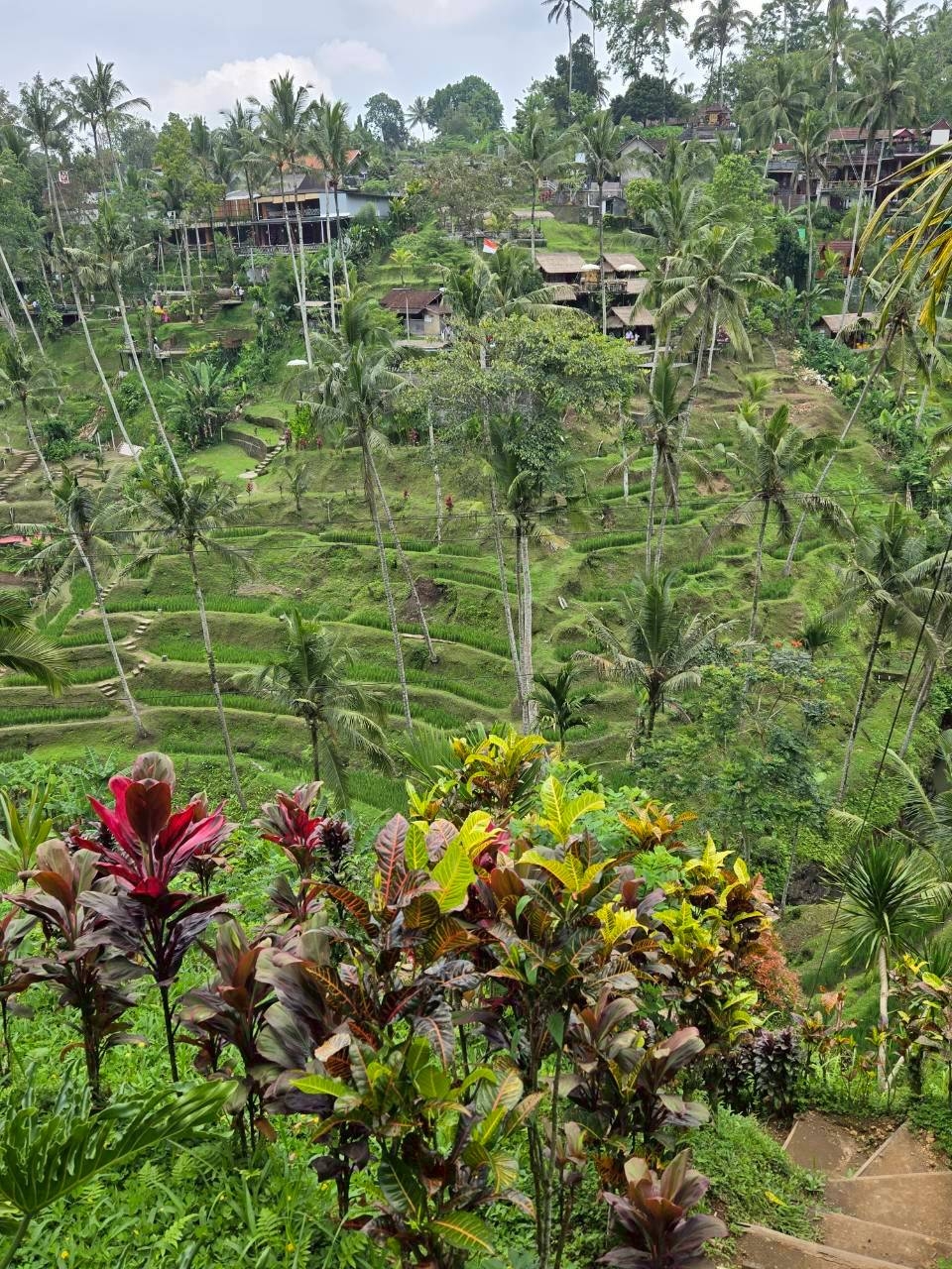 LINE_ALBUM_2025.10.23-27 バリ島社員旅行_251031_48.jpg