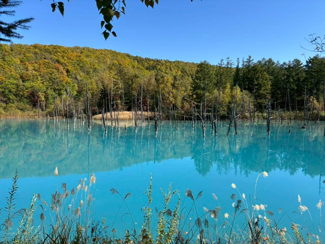 LINE_ALBUM_2025.10.13-15 北海道社員旅行_251031_1.jpg