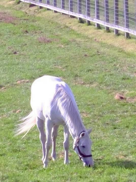 LINE_ALBUM_2025.10.13-15 北海道社員旅行_251031_44.jpg