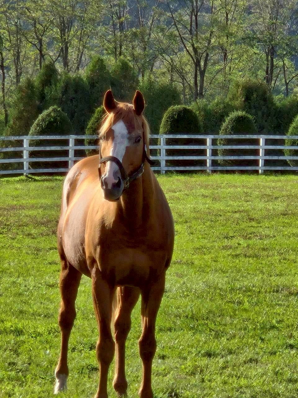 LINE_ALBUM_2025.10.13-15 北海道社員旅行_251031_42.jpg