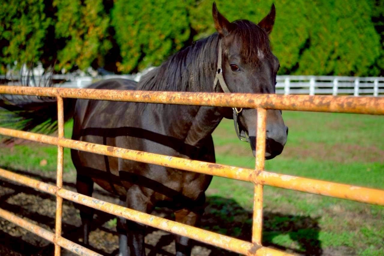 LINE_ALBUM_2025.10.13-15 北海道社員旅行_251031_45.jpg