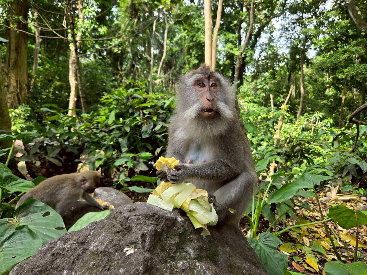 LINE_ALBUM_2025.10.23-27 バリ島社員旅行_251031_66.jpg